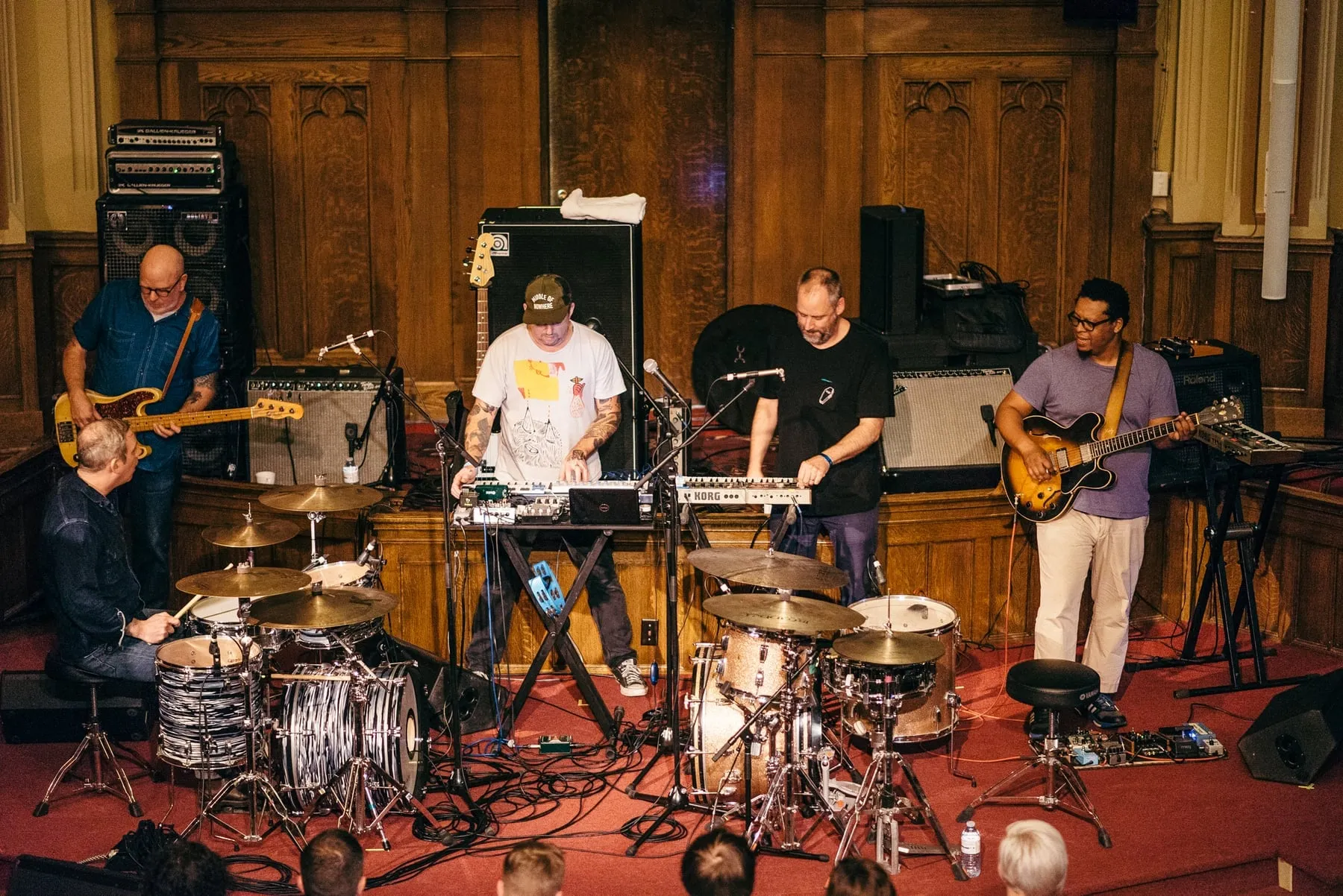 Tortoise band photograph